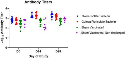 Bacterin Vaccination Provides Insufficient Protection Against Streptococcus equi Subspecies zooepidemicus Infection in Pigs